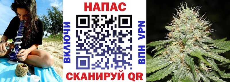 наркотики  Королёв  Бошки марихуана Amnesia 